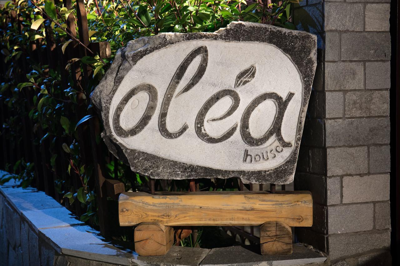 Olea House Apartment Limenaria  Ngoại thất bức ảnh